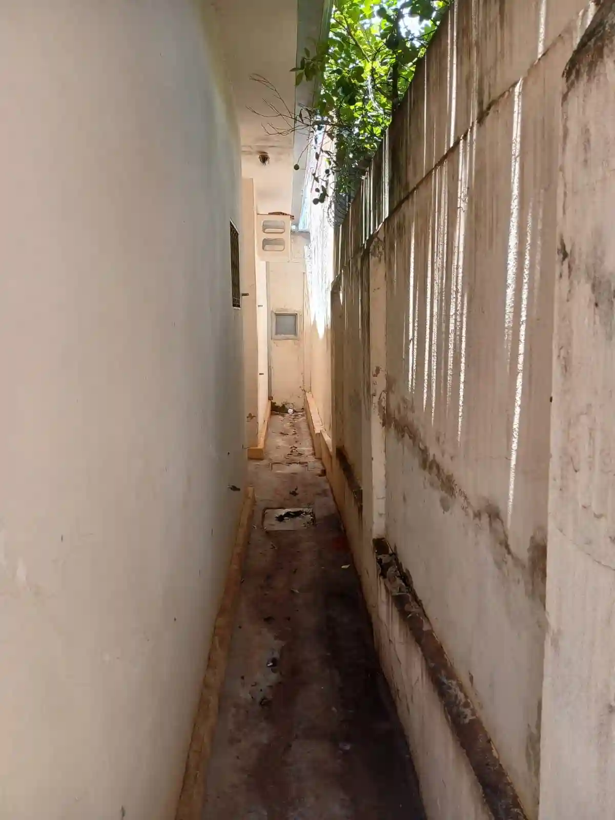 Casa Comercial com 4 quartos à venda, 200m² — foto 33 de 33