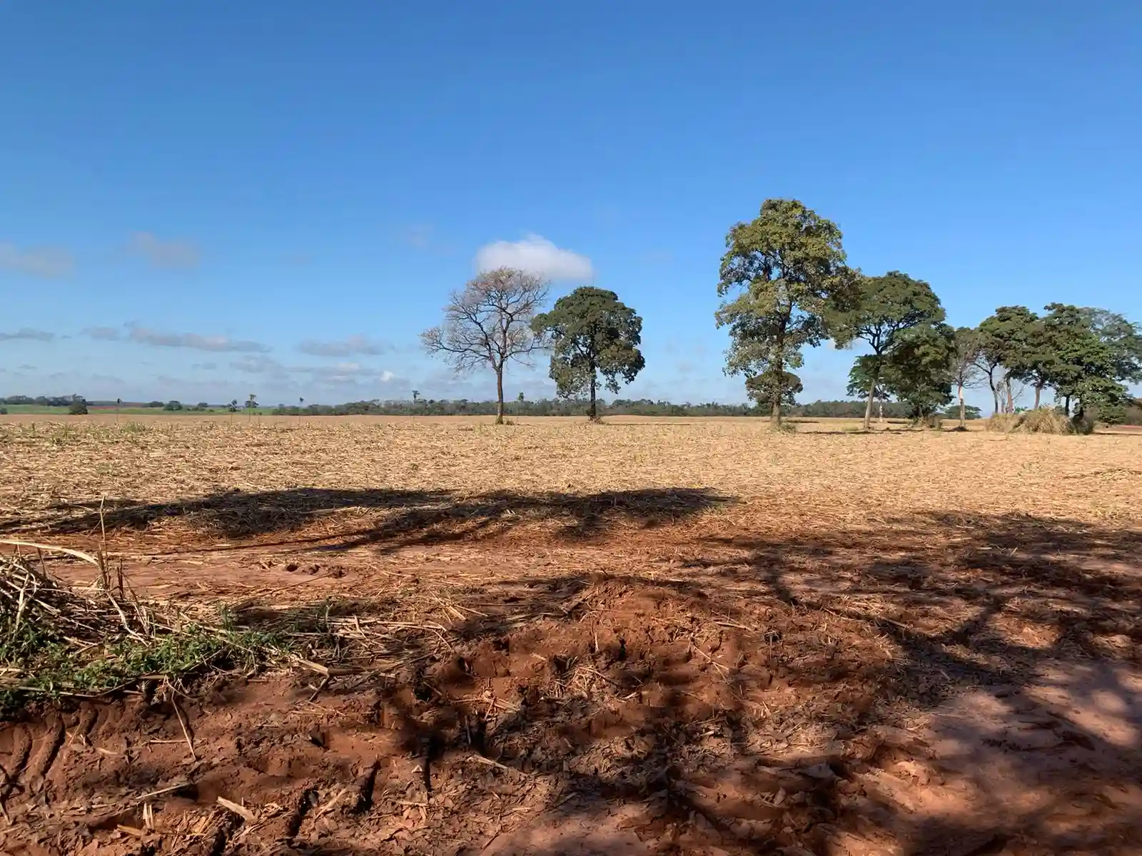 Fazenda / Sítio / Chácara  à venda, 193600m² — foto 1 de 1
