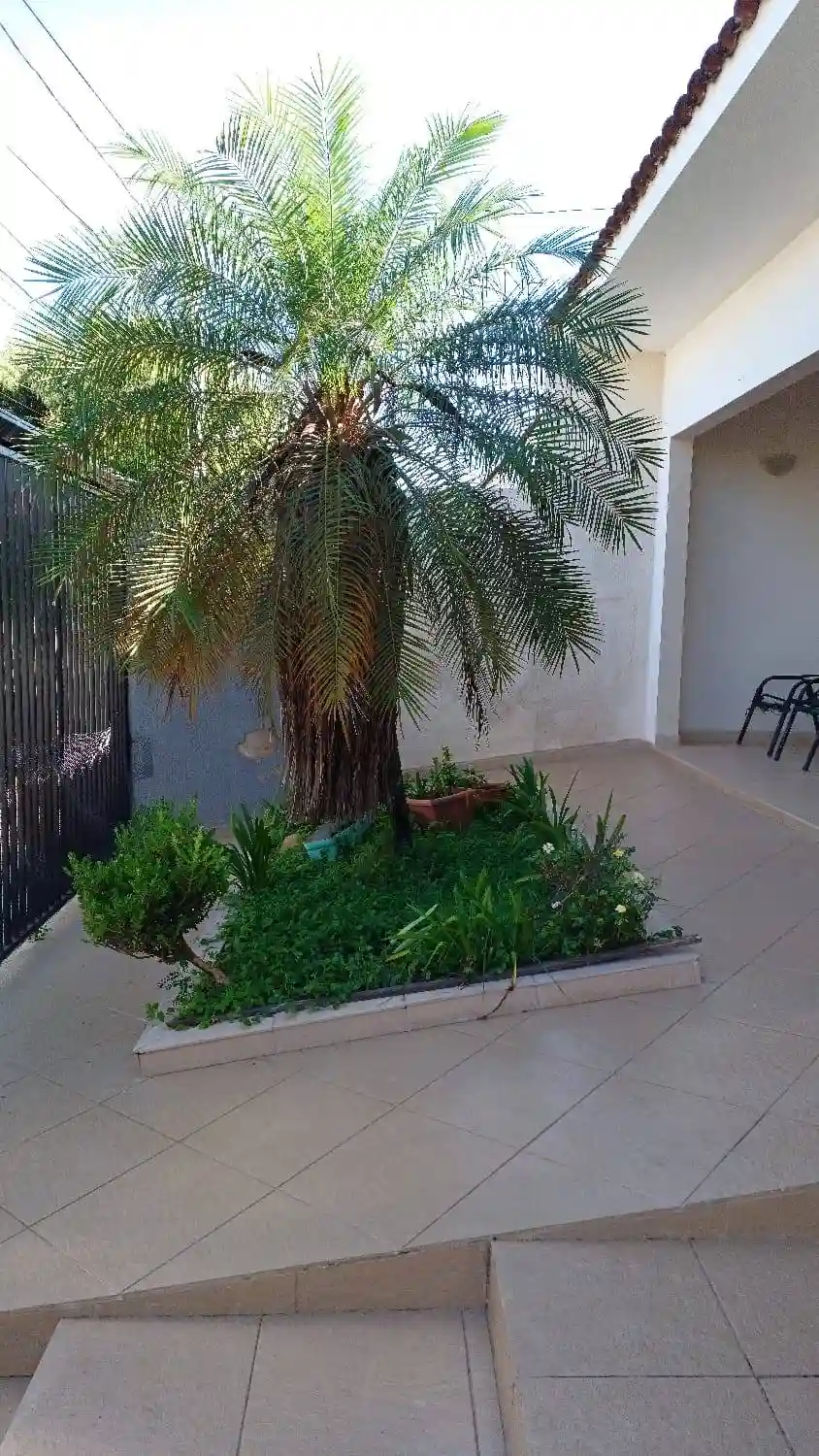 Casa Comercial com 3 quartos à venda, 201m² — foto 3 de 26