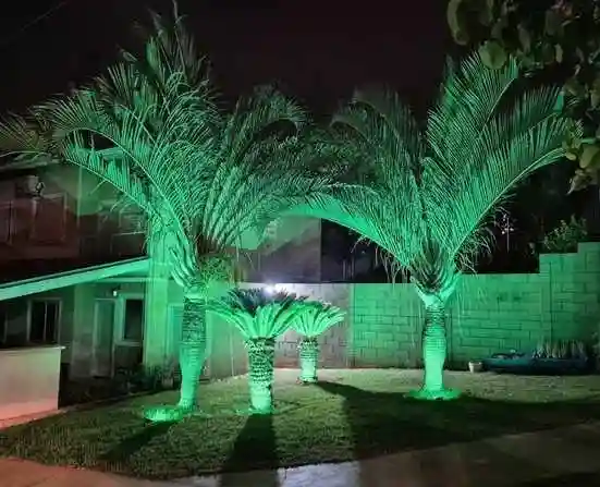 Casa de Condomínio com 3 quartos à venda, 85m² — foto 6 de 28