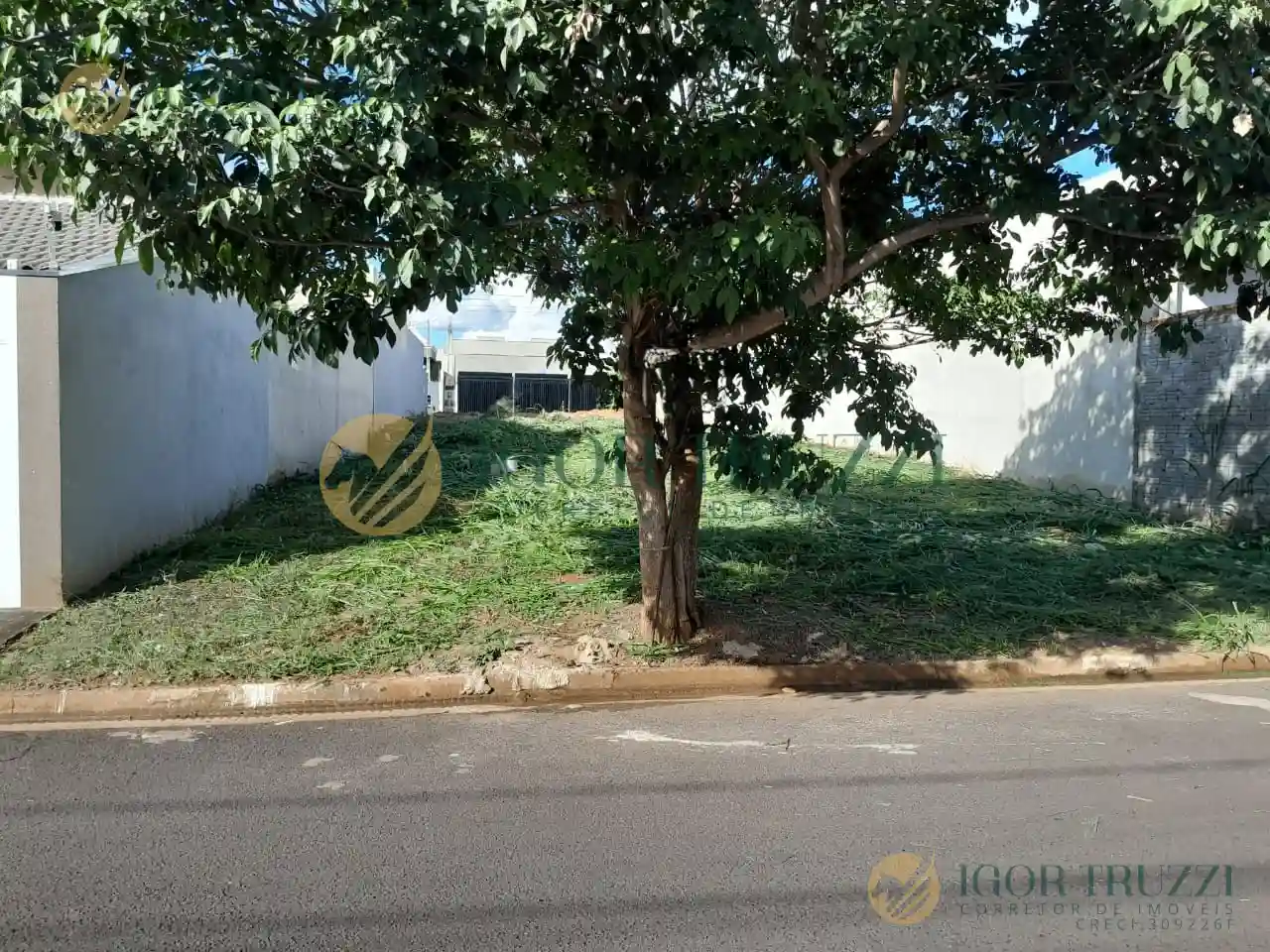 Terreno / Lote / Condomínio  à venda, 220m² — foto 2 de 2