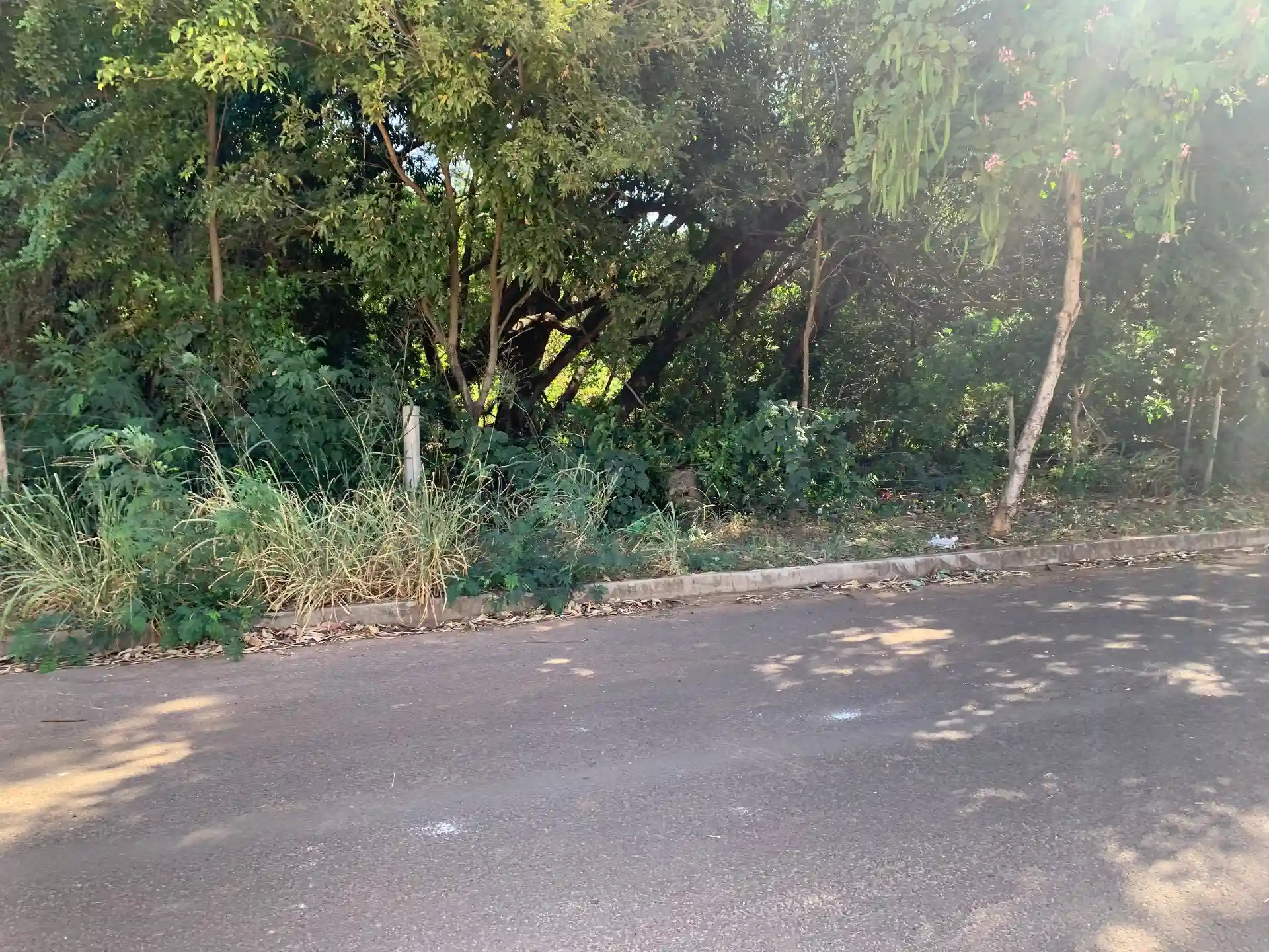 Terreno / Lote / Condomínio  à venda, 390m² — foto 8 de 9