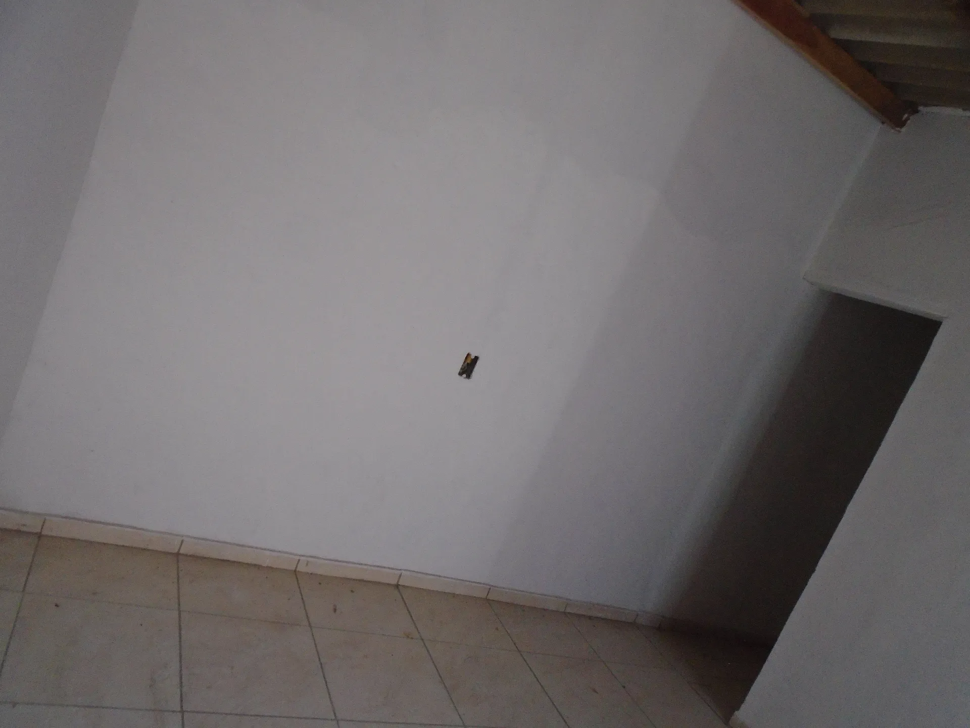 Casa com 2 quartos para aluguel, 60m² — foto 6 de 21