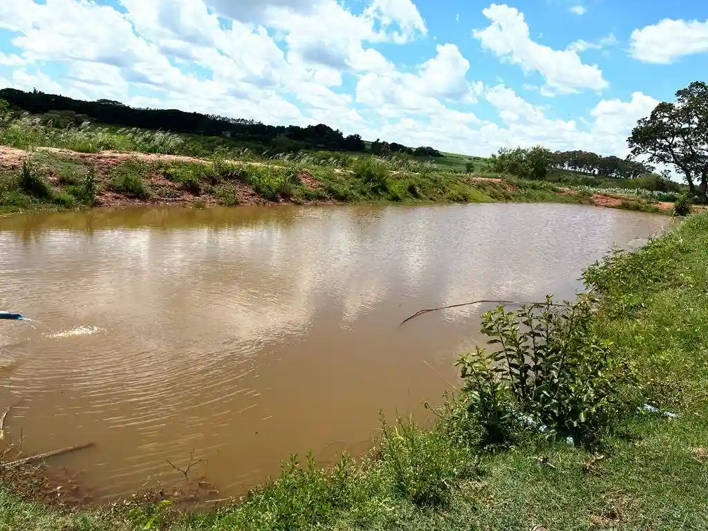Fazenda / Sítio / Chácara com 3 quartos à venda, 60m² — foto 5 de 23