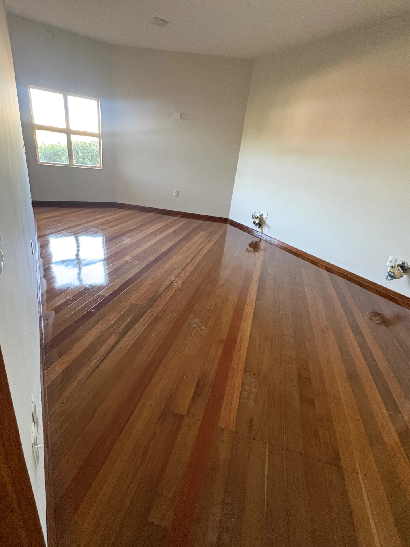 Casa com 3 quartos para aluguel, 350m² — foto 3 de 18