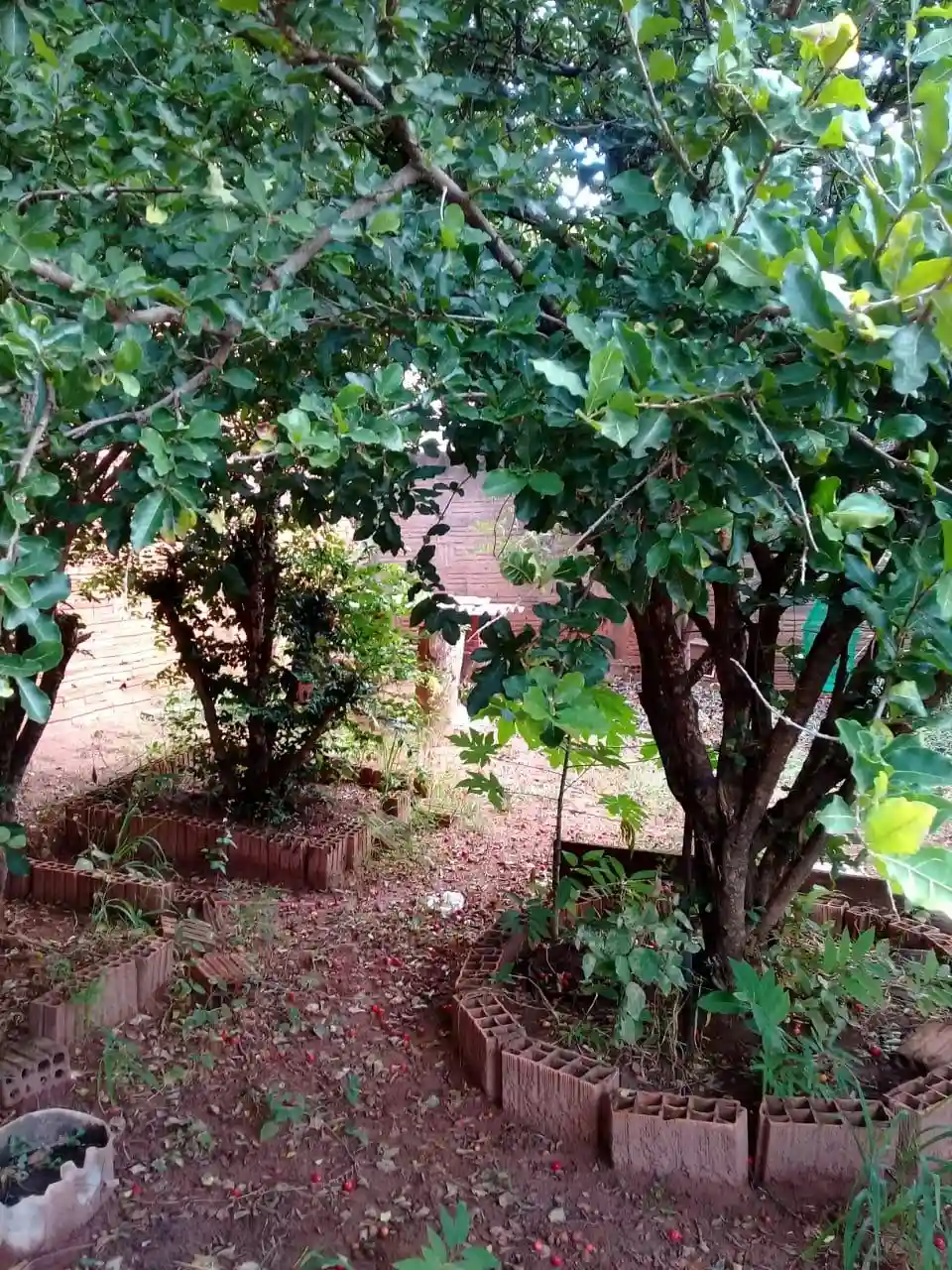 Casa com 2 quartos à venda, 100m² — foto 1 de 5