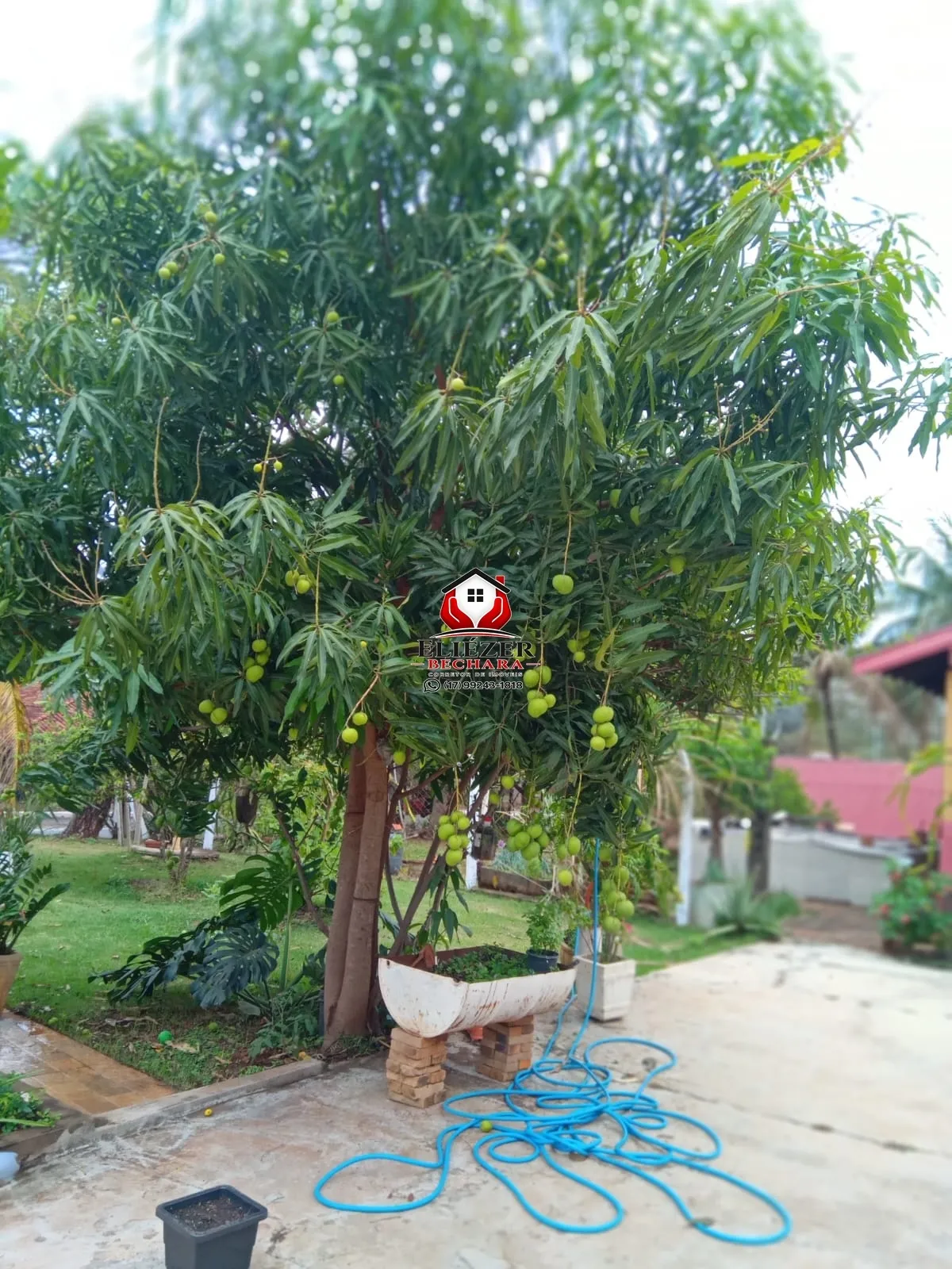 Fazenda / Sítio / Chácara com 3 quartos à venda, 500m² — foto 9 de 28