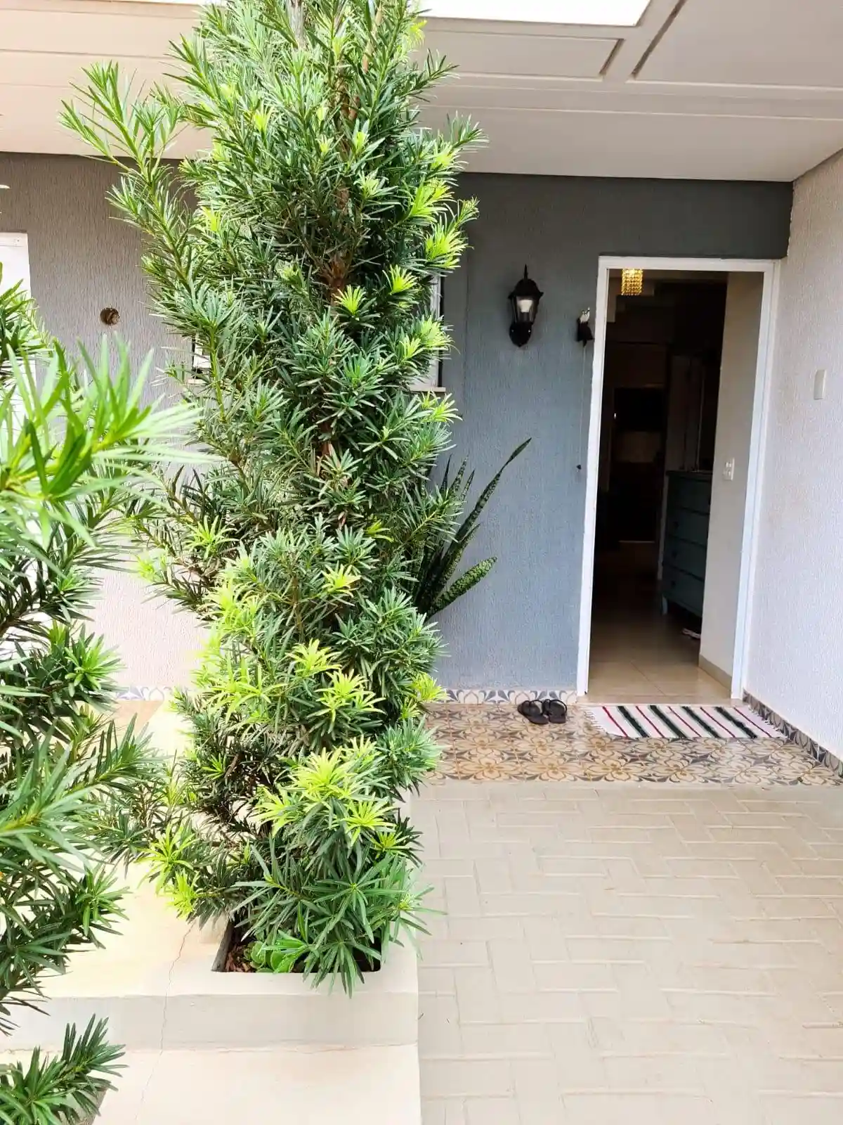 Casa de Condomínio com 3 quartos à venda, 140m² — foto 21 de 41