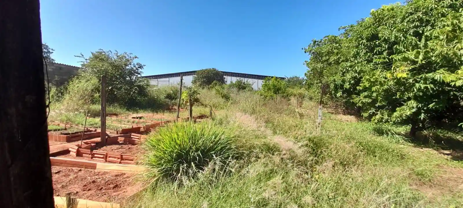 Fazenda / Sítio / Chácara com 2 quartos à venda, 3400m² — foto 5 de 7