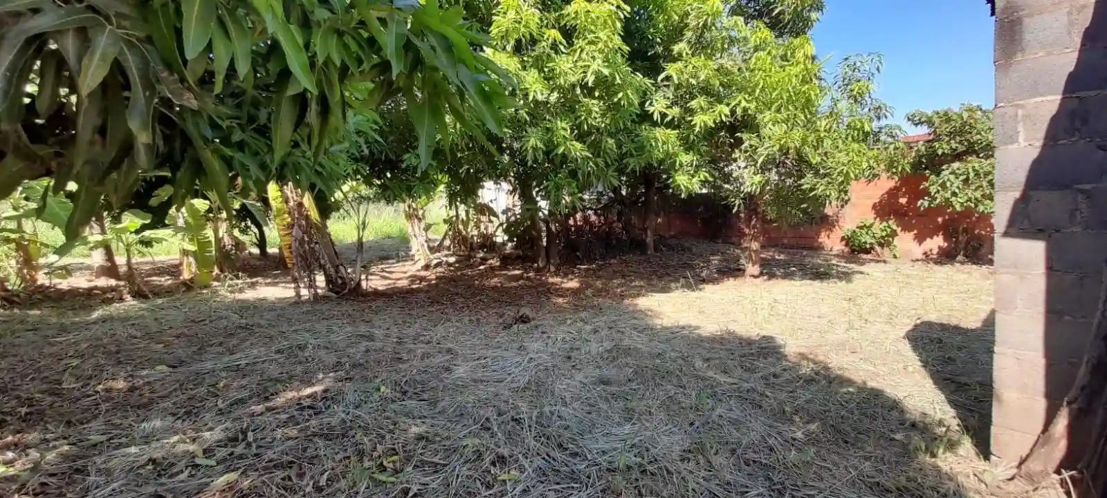 Fazenda / Sítio / Chácara com 2 quartos à venda, 3400m² — foto 4 de 7