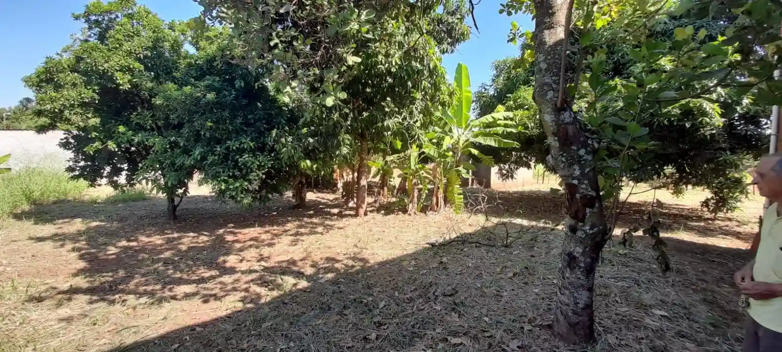 Fazenda / Sítio / Chácara com 2 quartos à venda, 3400m² — foto 6 de 7