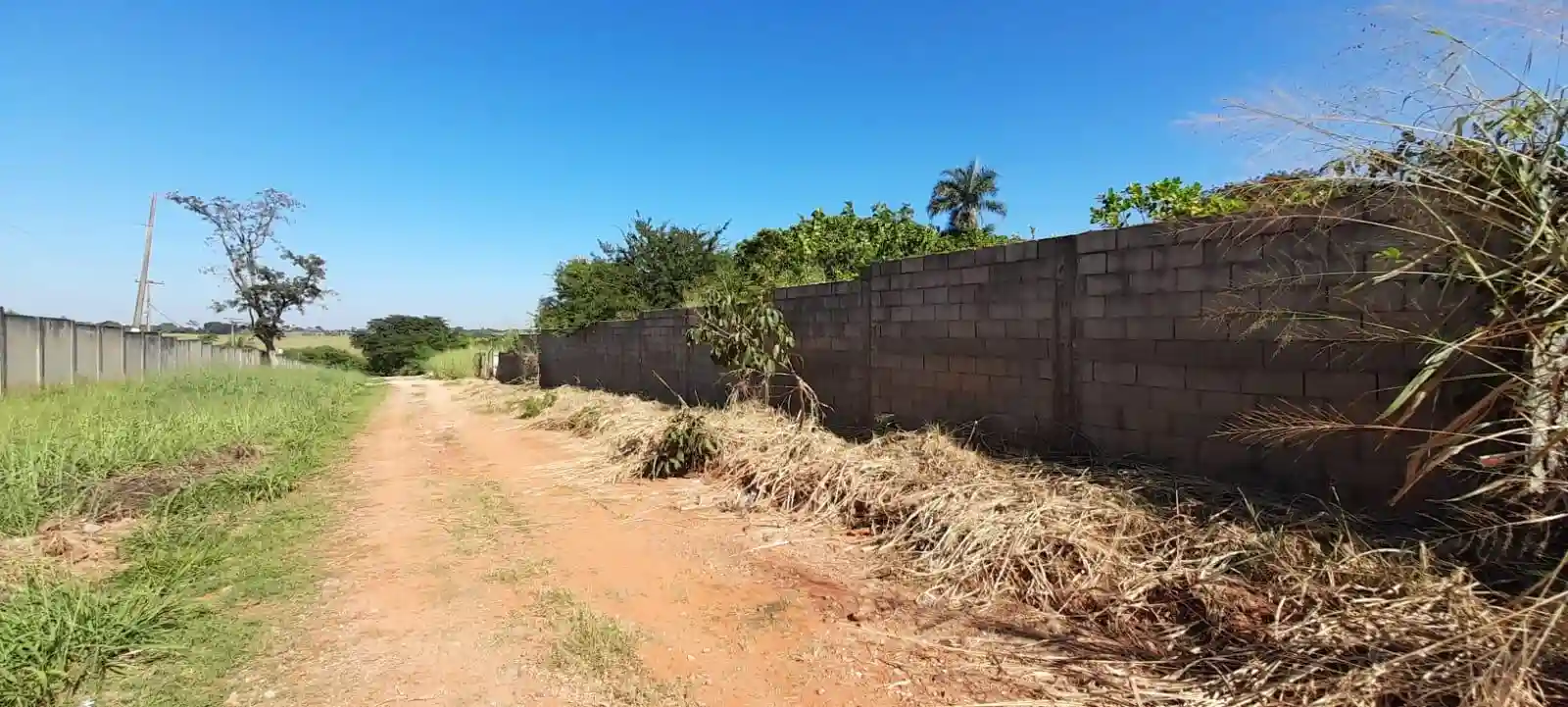Fazenda / Sítio / Chácara com 2 quartos à venda, 3400m² — foto 7 de 7
