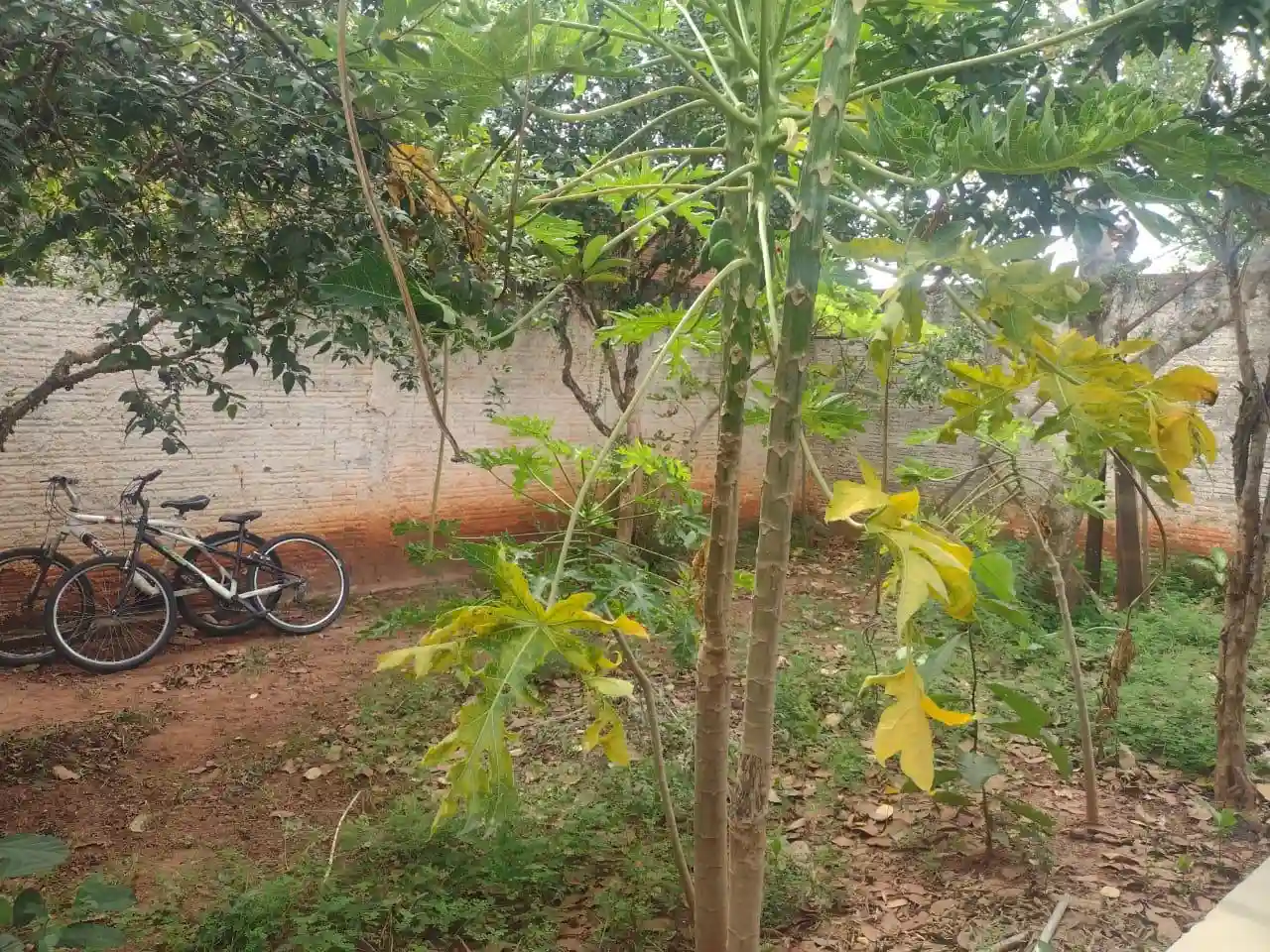 Casa com 2 quartos à venda, 60m² — foto 10 de 13