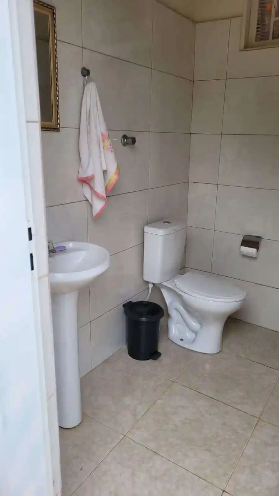 Fazenda / Sítio / Chácara com 3 quartos à venda, 5000m² — foto 5 de 14