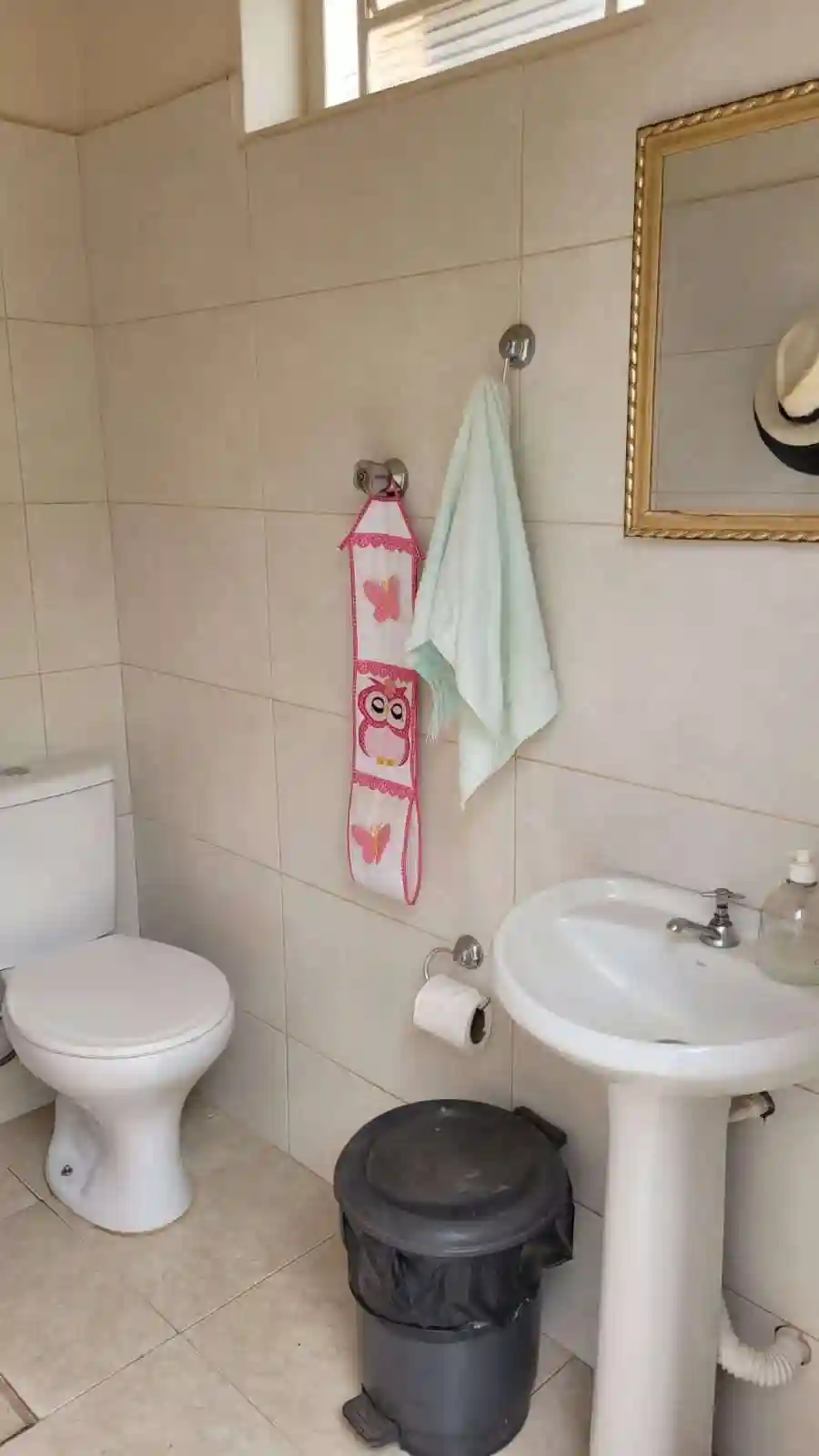 Fazenda / Sítio / Chácara com 3 quartos à venda, 5000m² — foto 8 de 14