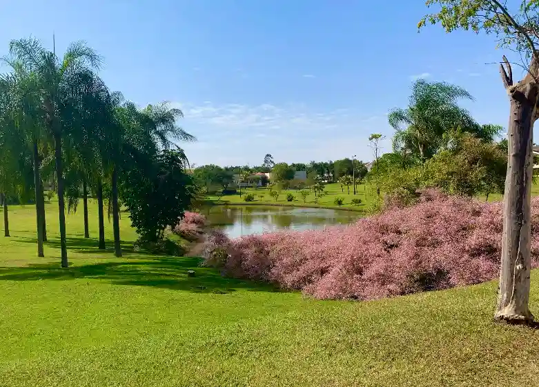 Terreno / Lote / Condomínio  à venda, 1000m² — foto 3 de 4