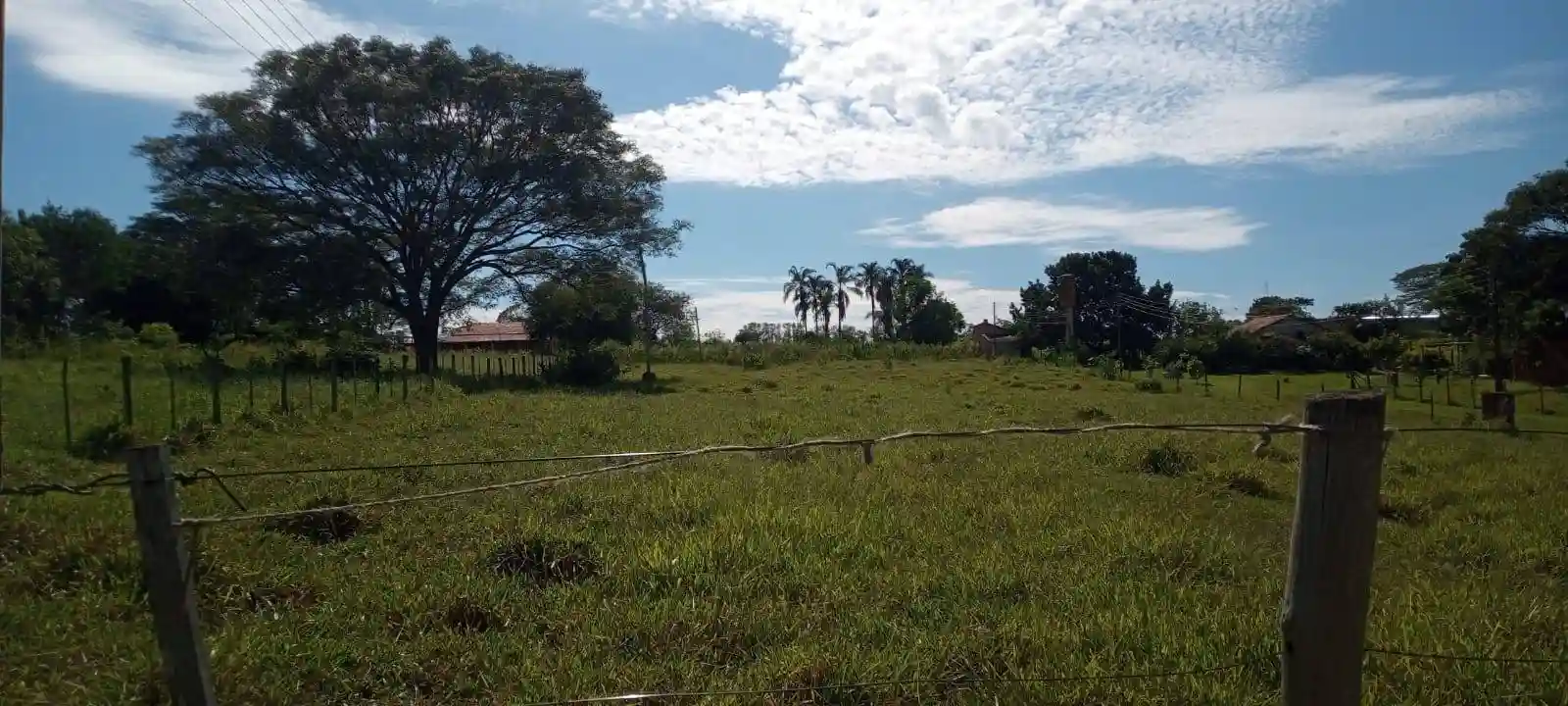Fazenda / Sítio / Chácara com 2 quartos à venda, 20600m² — foto 9 de 16