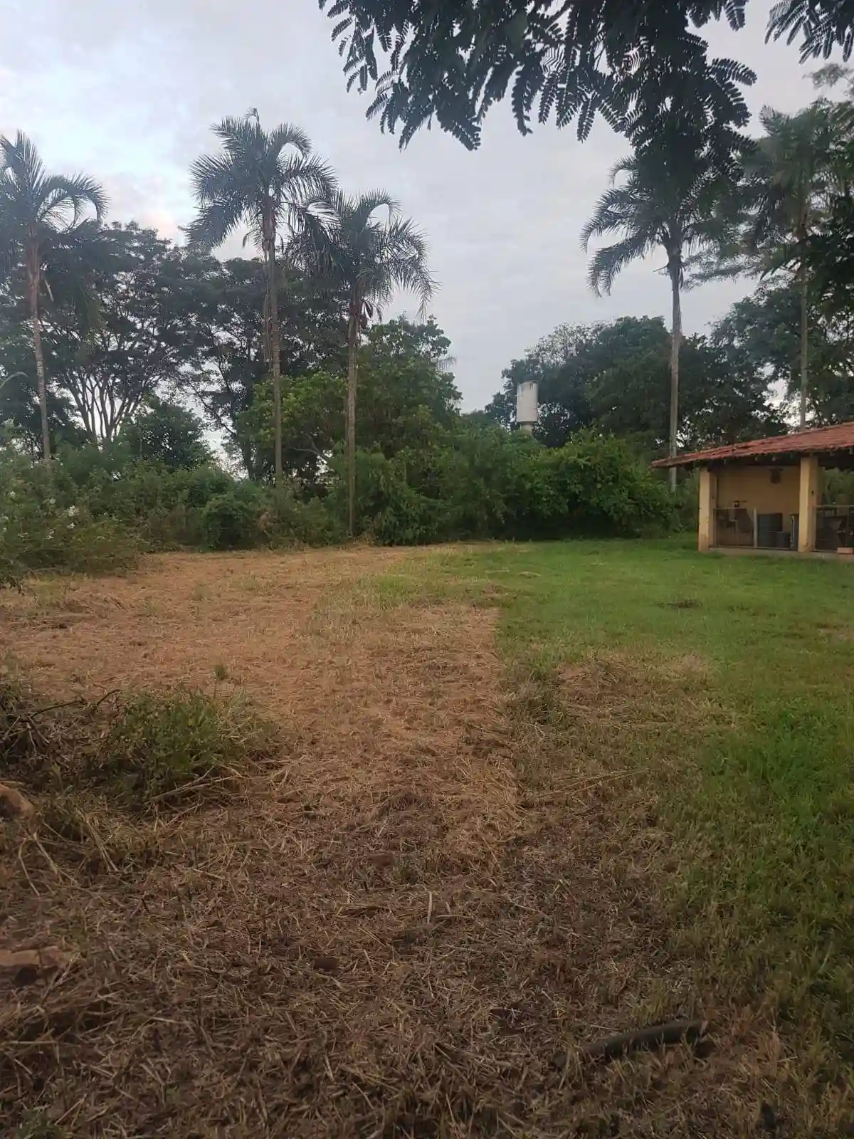 Fazenda / Sítio / Chácara com 2 quartos à venda, 20600m² — foto 6 de 16