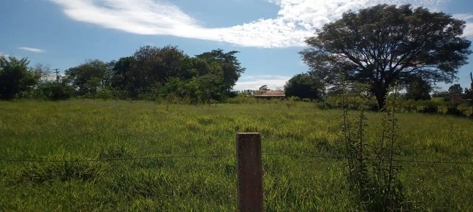 Fazenda / Sítio / Chácara com 2 quartos à venda, 20600m² — foto 10 de 16