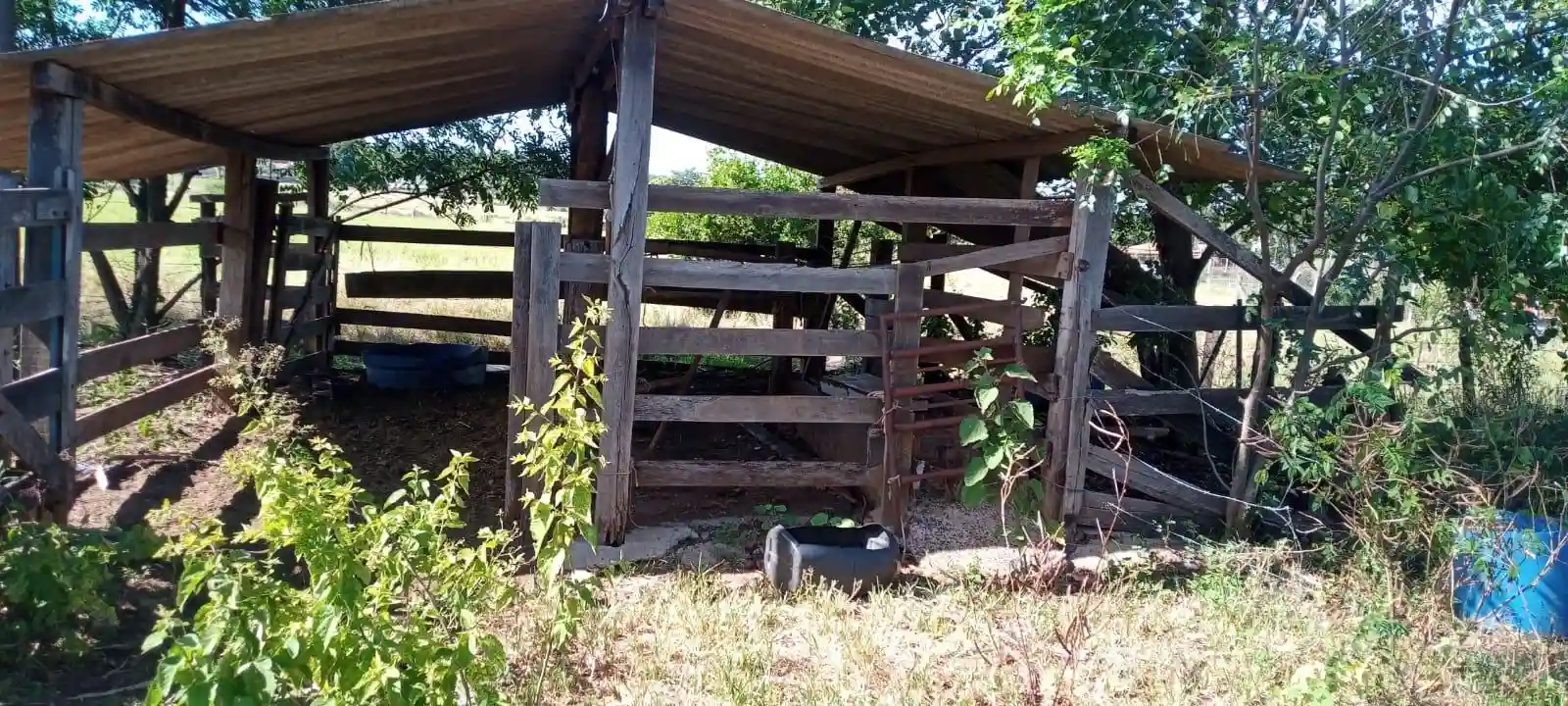 Fazenda / Sítio / Chácara com 2 quartos à venda, 20600m² — foto 11 de 16