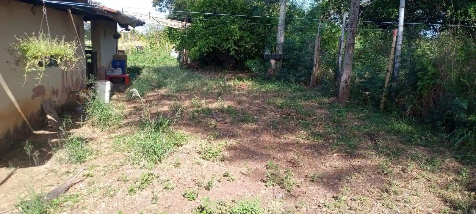 Fazenda / Sítio / Chácara com 2 quartos à venda, 20600m² — foto 14 de 16
