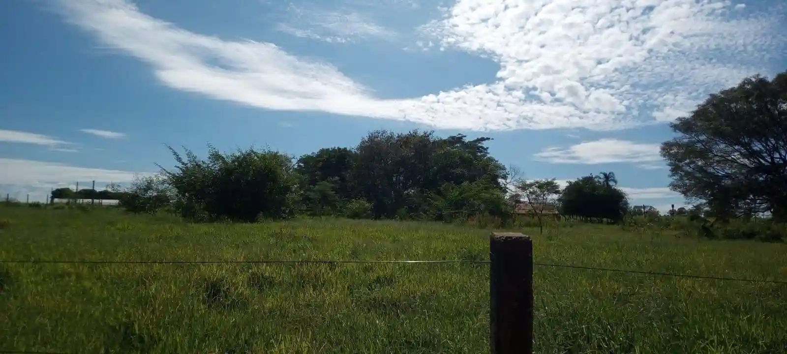 Fazenda / Sítio / Chácara com 2 quartos à venda, 20600m² — foto 7 de 16