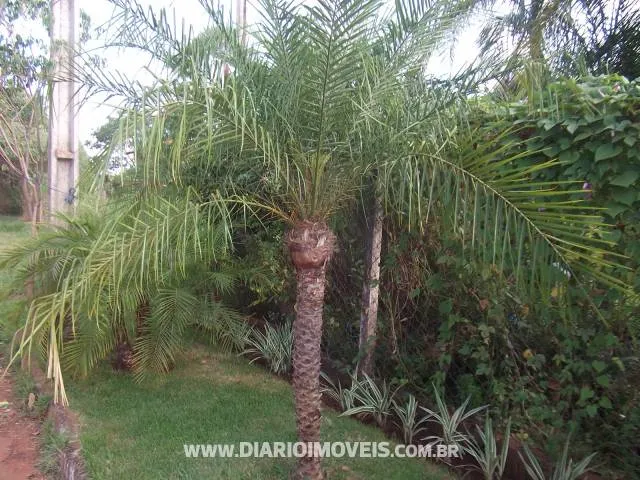 Conjunto Comercial / Sala à venda — foto 1 de 6