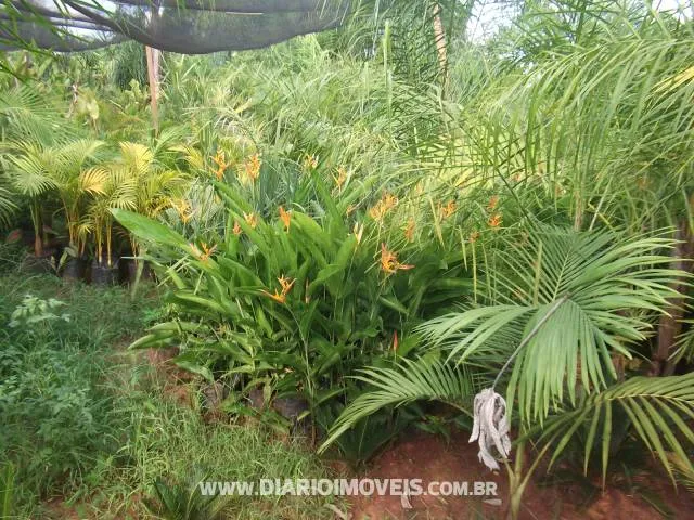 Conjunto Comercial / Sala à venda — foto 3 de 6