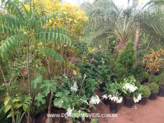 Conjunto Comercial / Sala à venda — foto 4 de 6