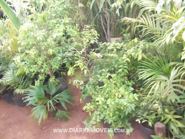 Conjunto Comercial / Sala à venda — foto 6 de 6