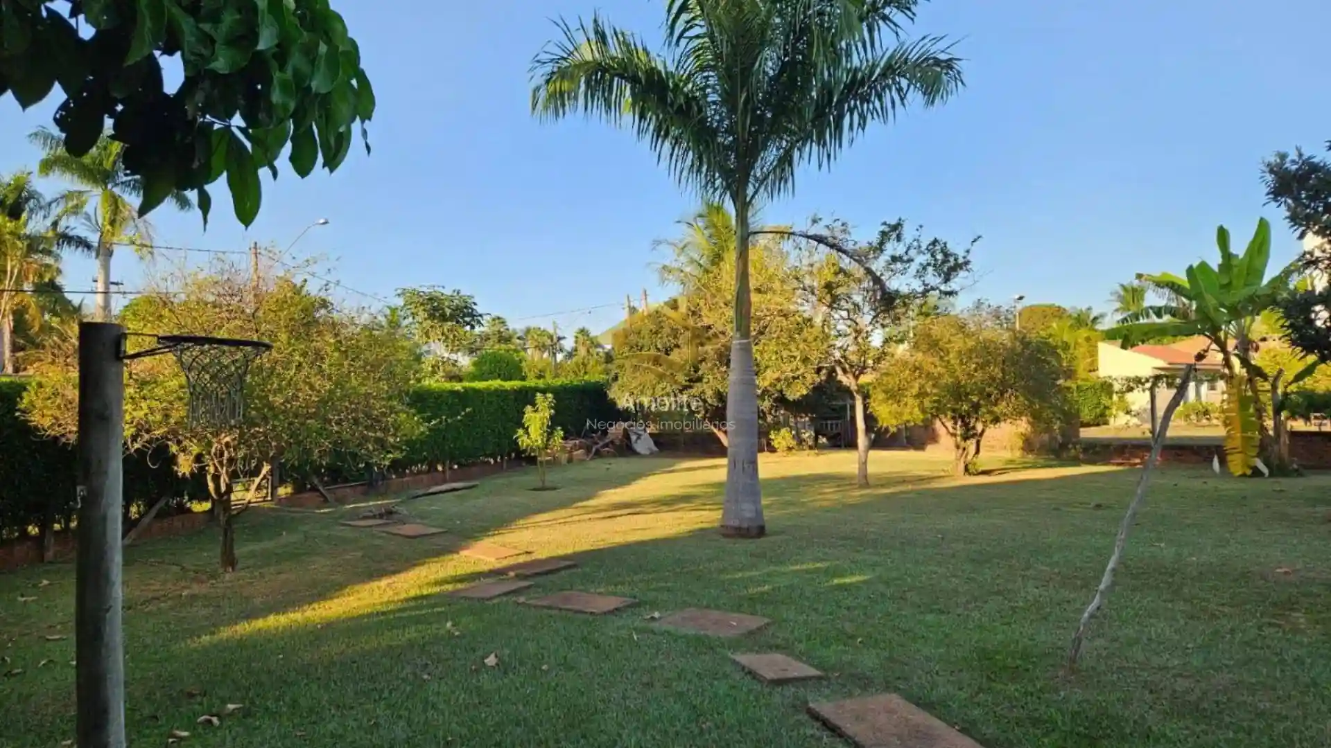 Fazenda / Sítio / Chácara com 4 quartos à venda, 2500m² — foto 33 de 50