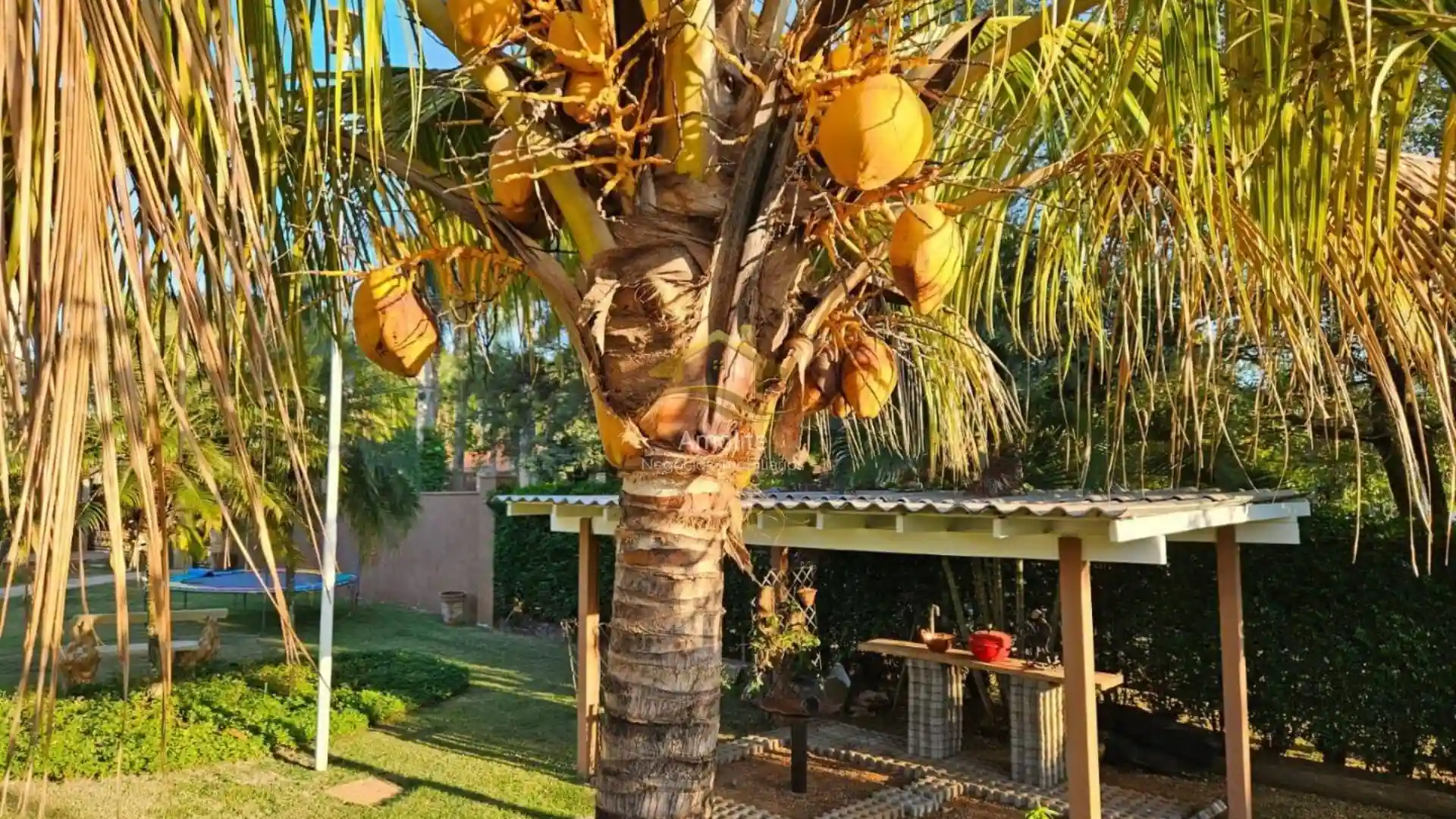 Fazenda / Sítio / Chácara com 4 quartos à venda, 2500m² — foto 48 de 50