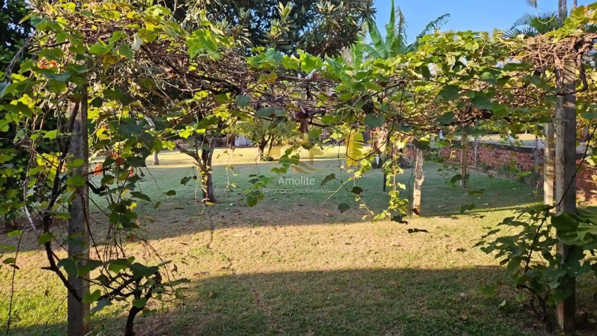 Fazenda / Sítio / Chácara com 4 quartos à venda, 2500m² — foto 39 de 50
