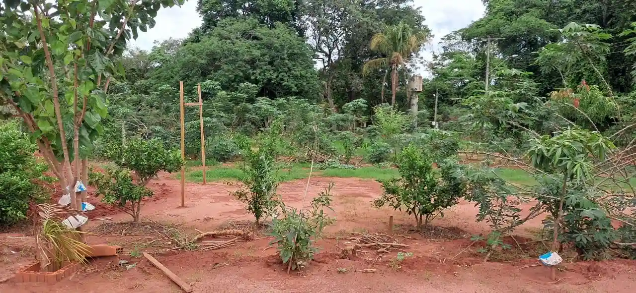 Fazenda / Sítio / Chácara com 2 quartos à venda, 3000m² — foto 26 de 27