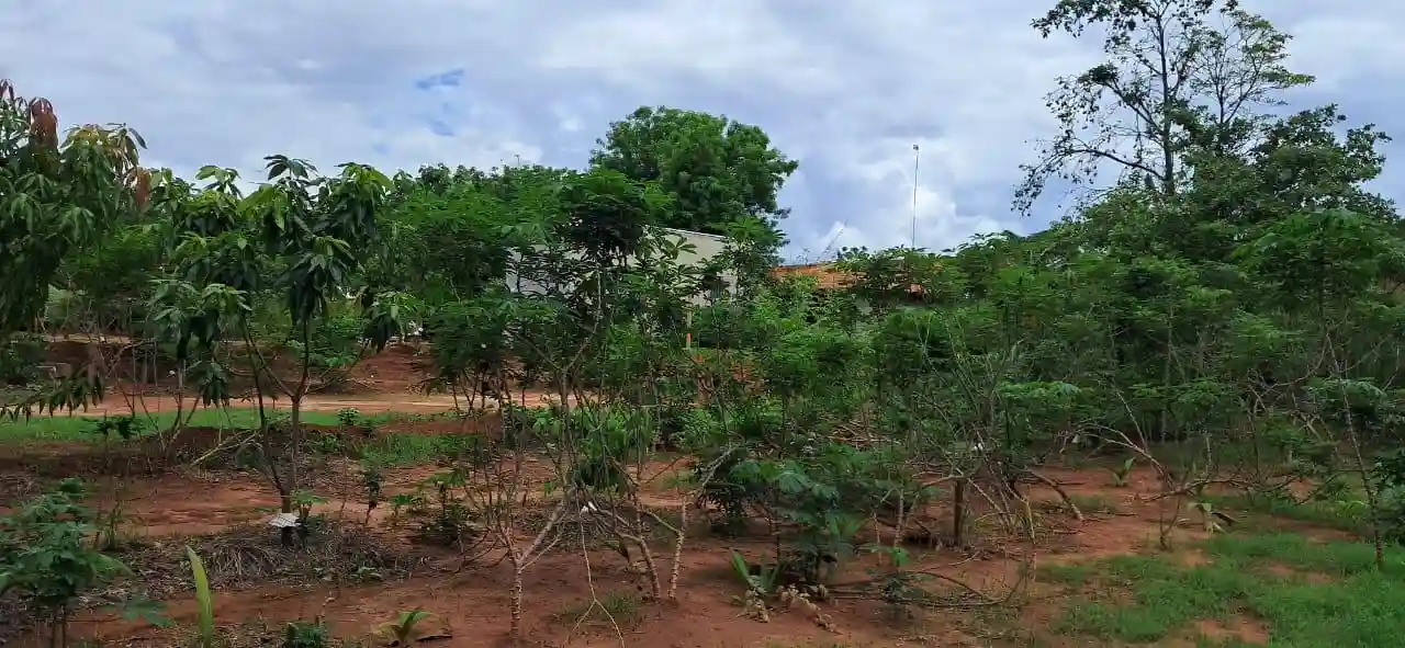 Fazenda / Sítio / Chácara com 2 quartos à venda, 3000m² — foto 21 de 27