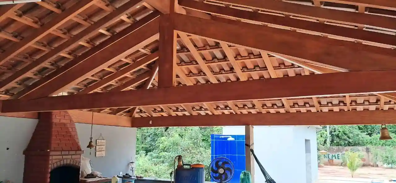 Fazenda / Sítio / Chácara com 2 quartos à venda, 3000m² — foto 4 de 27
