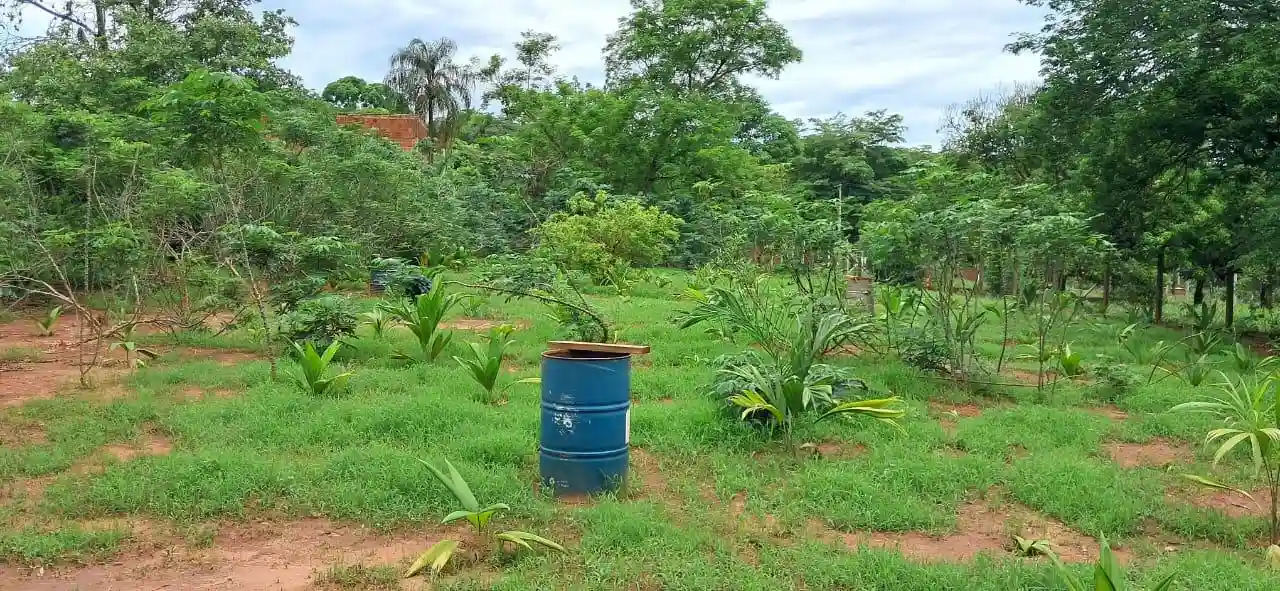 Fazenda / Sítio / Chácara com 2 quartos à venda, 3000m² — foto 27 de 27