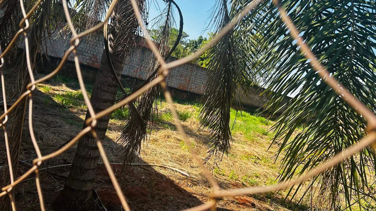 Fazenda / Sítio / Chácara à venda, 1000m² — foto 4 de 6