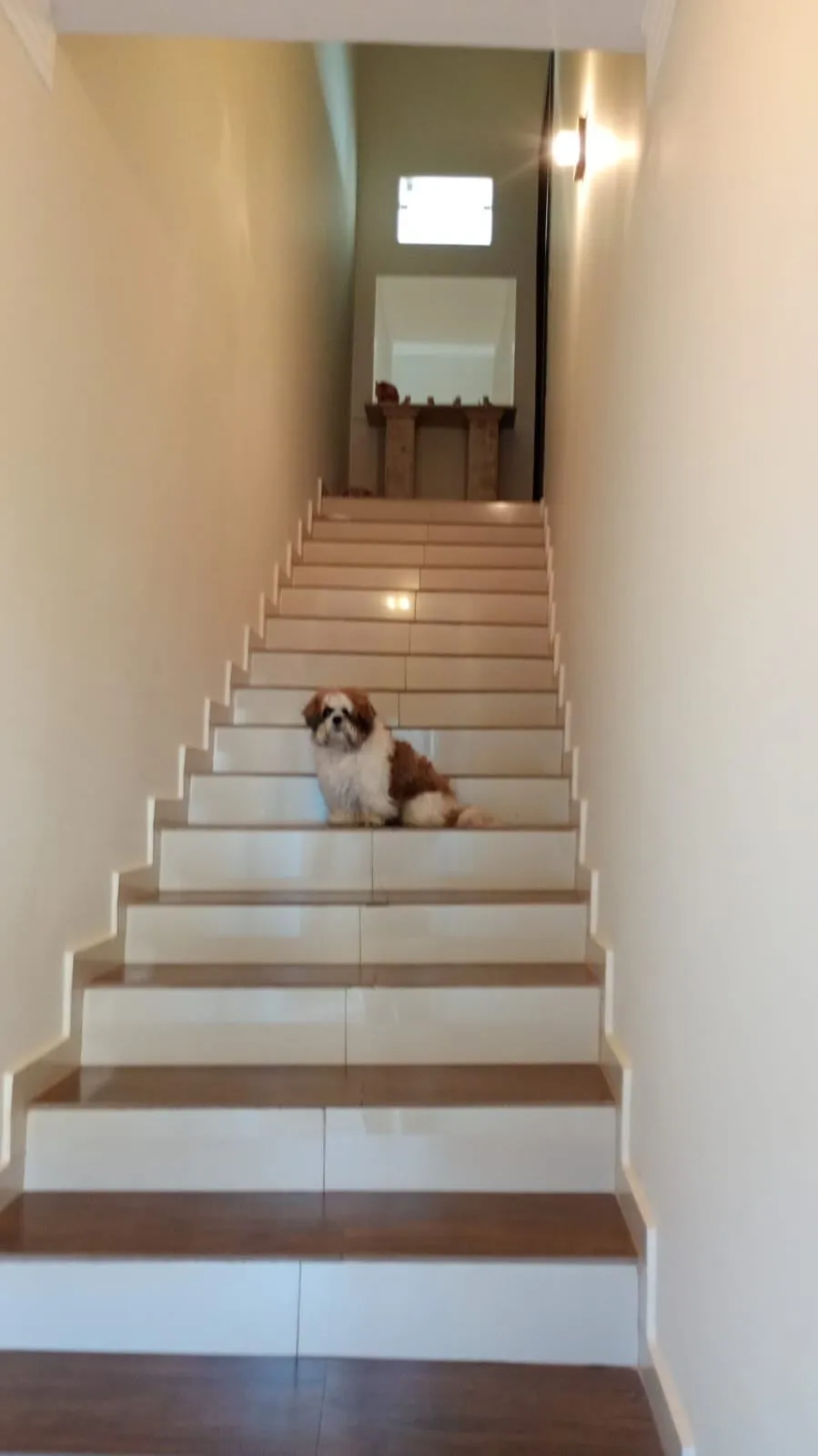 Casa com 2 quartos à venda, 170m² — foto 18 de 33