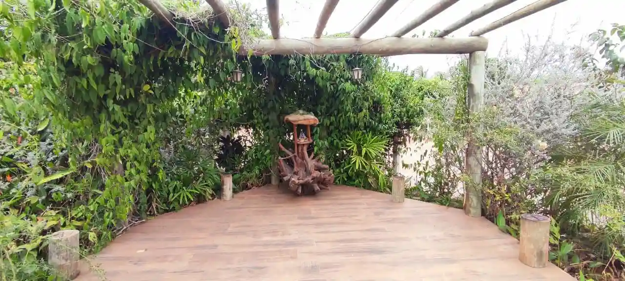 Imóvel para lazer com 3 quartos à venda, 21607m² — foto 14 de 18