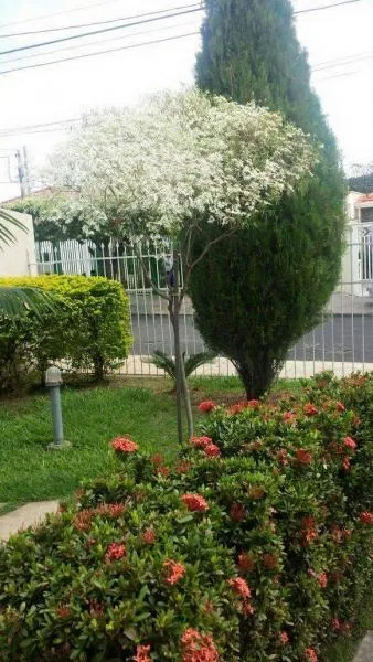 Casa à venda — foto 2 de 3