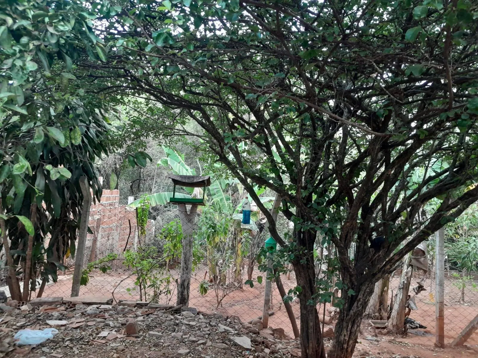 Fazenda / Sítio / Chácara com 1 quarto à venda, 1600m² — foto 10 de 17