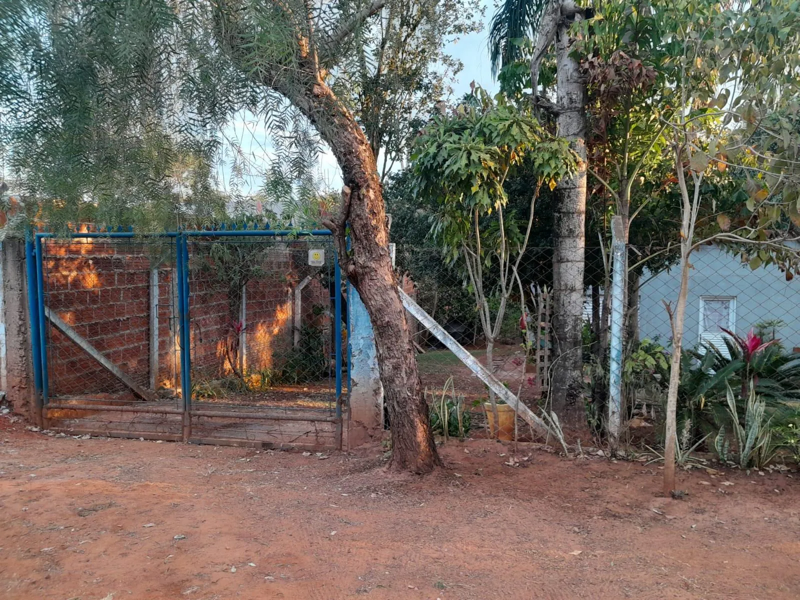 Fazenda / Sítio / Chácara com 1 quarto à venda, 1600m² — foto 4 de 17