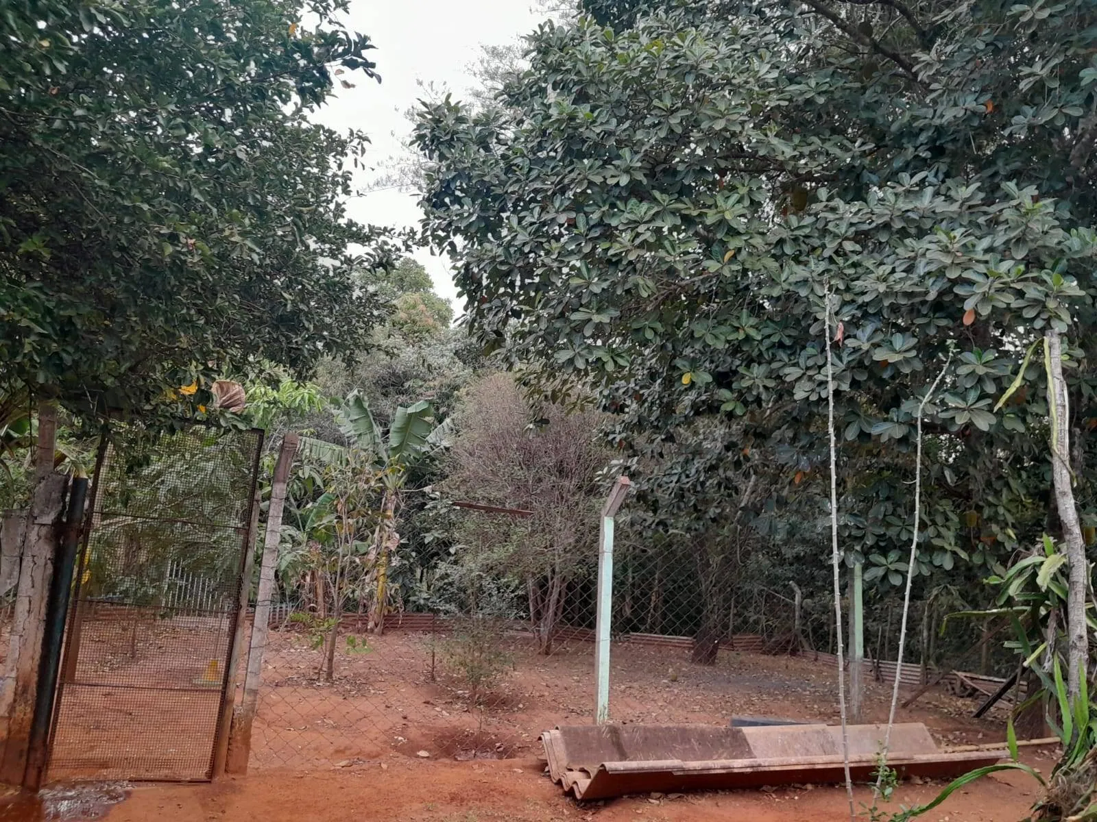 Fazenda / Sítio / Chácara com 1 quarto à venda, 1600m² — foto 11 de 17