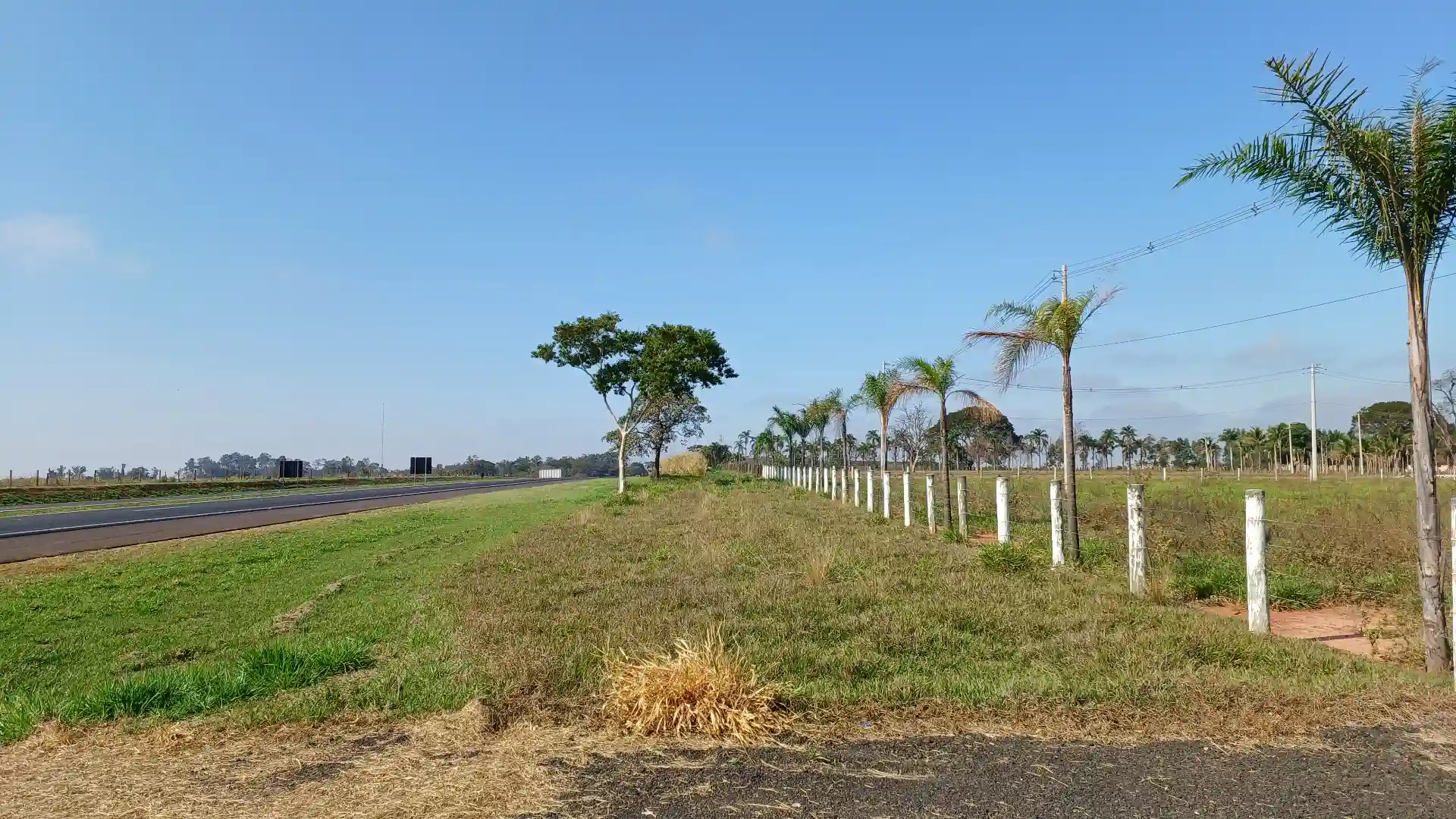 Fazenda / Sítio / Chácara  à venda, 20000m² — foto 4 de 7