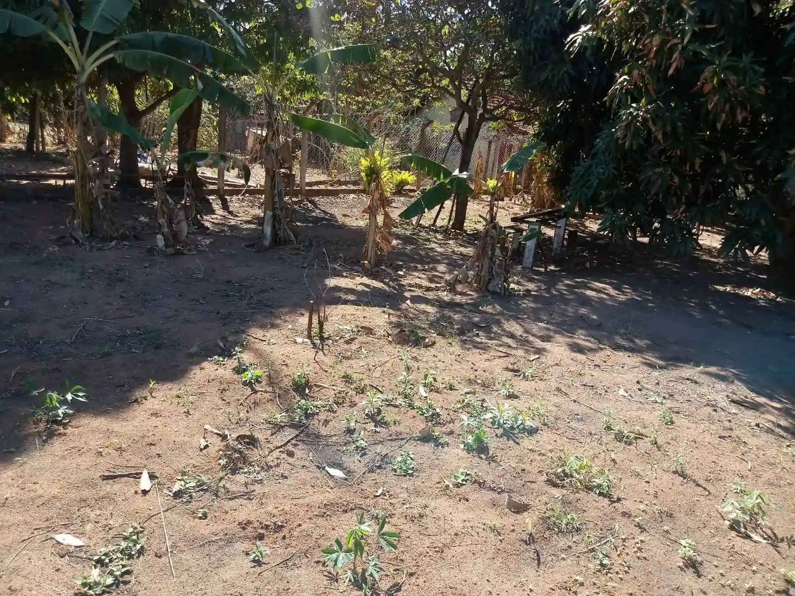 Fazenda / Sítio / Chácara  à venda, 2000m² — foto 20 de 21