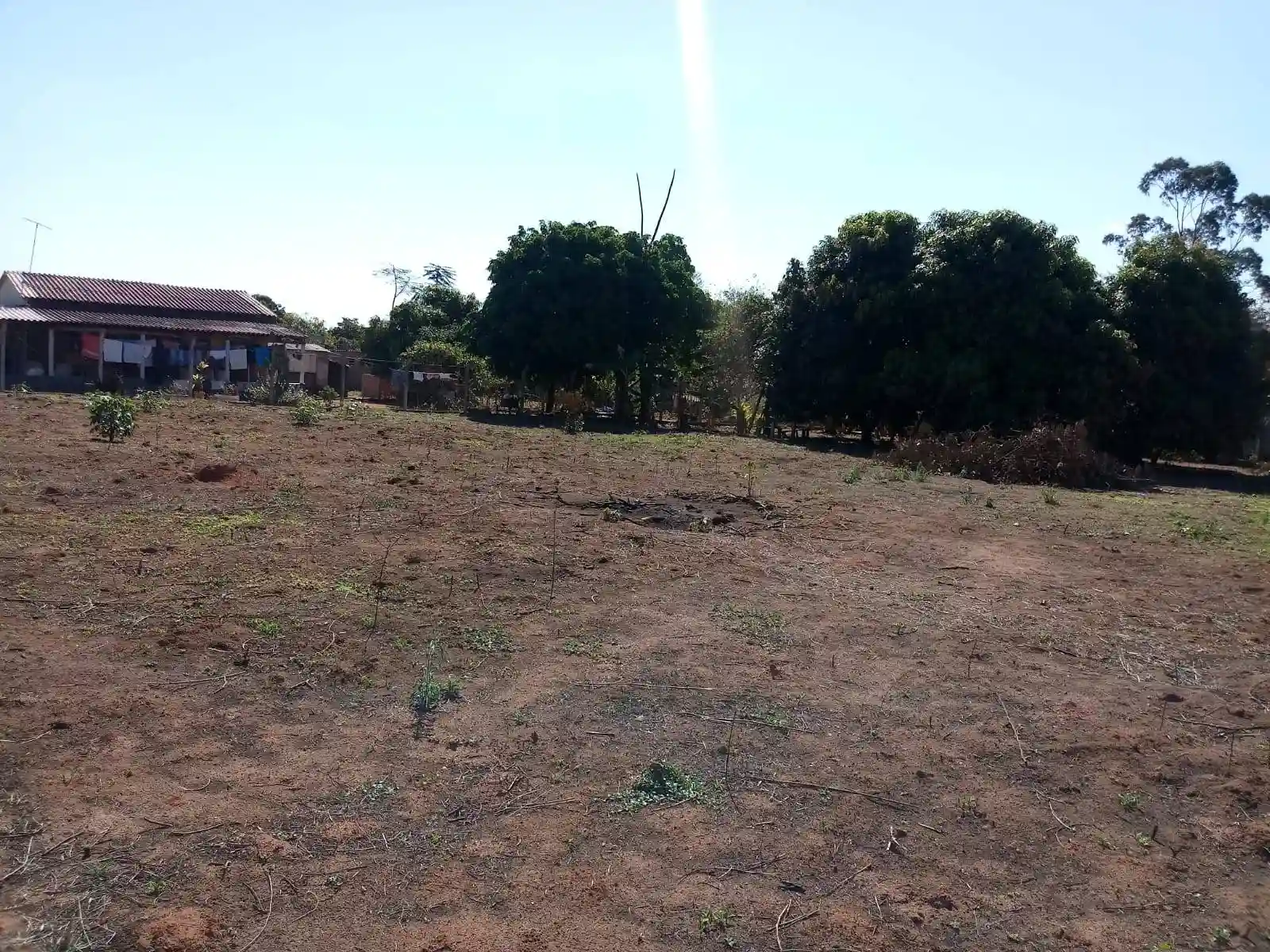 Fazenda / Sítio / Chácara  à venda, 2000m² — foto 12 de 21