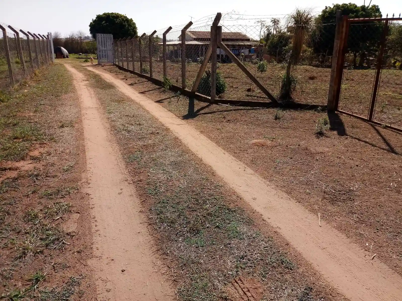 Fazenda / Sítio / Chácara  à venda, 2000m² — foto 2 de 21