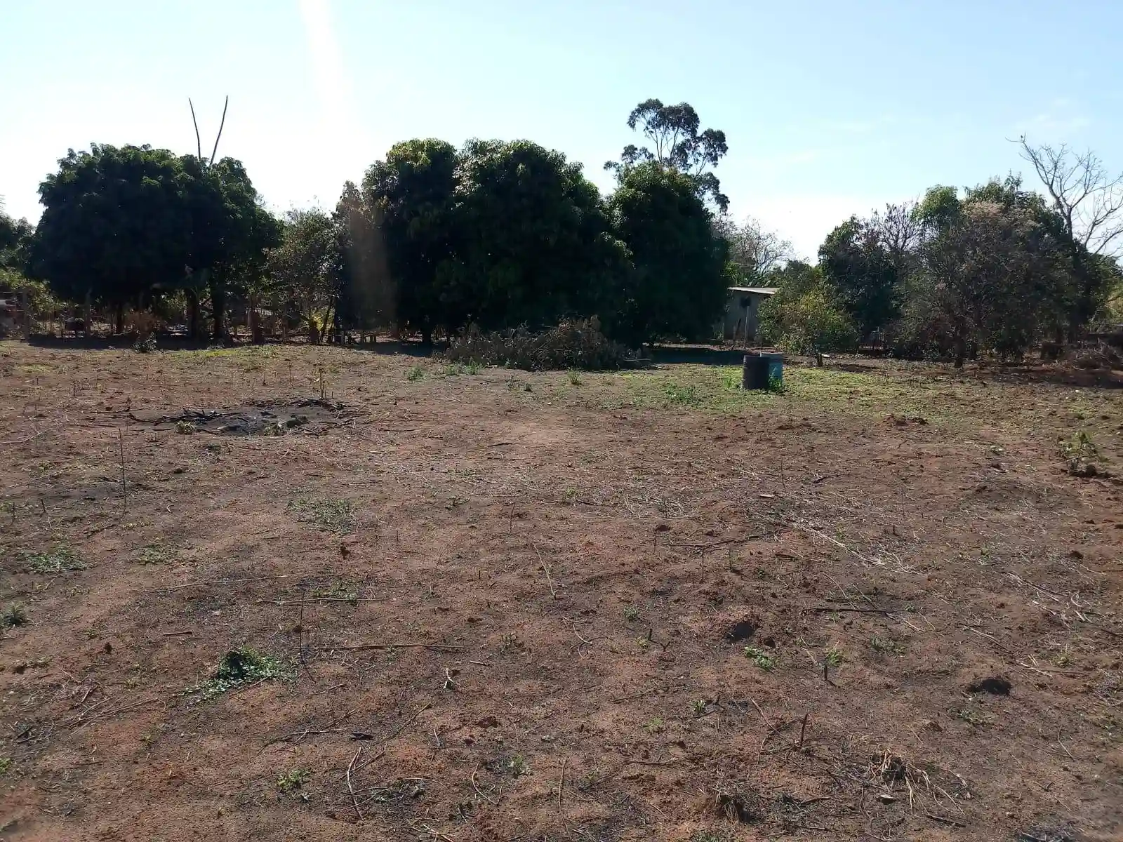 Fazenda / Sítio / Chácara  à venda, 2000m² — foto 11 de 21