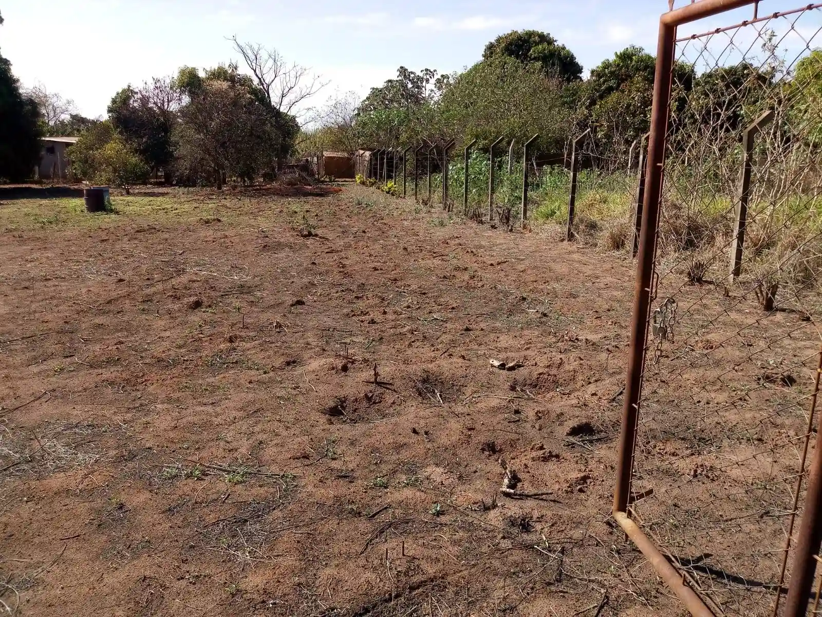 Fazenda / Sítio / Chácara  à venda, 2000m² — foto 6 de 21